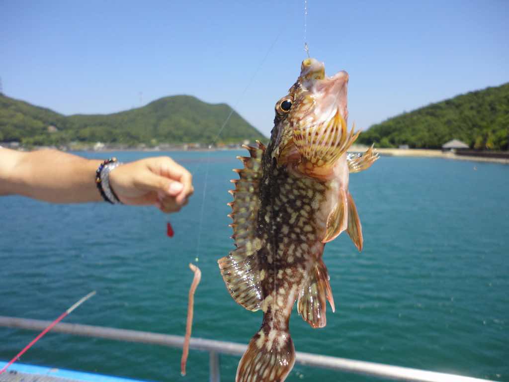Fishing in Okinawa 0